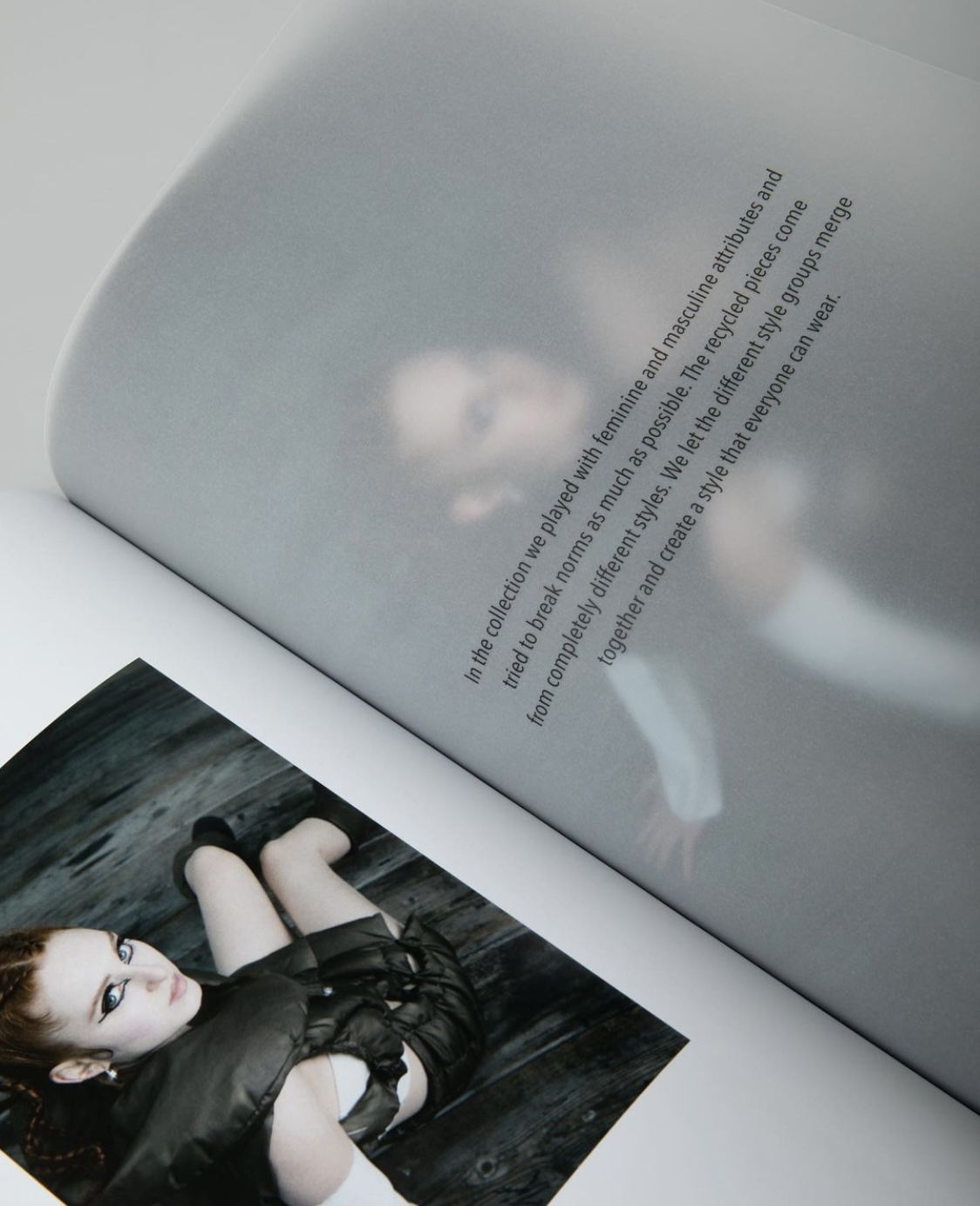 picture from foetus project